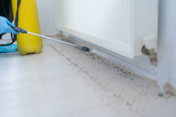 Best Pest Prevention Services  in Landing, NJ